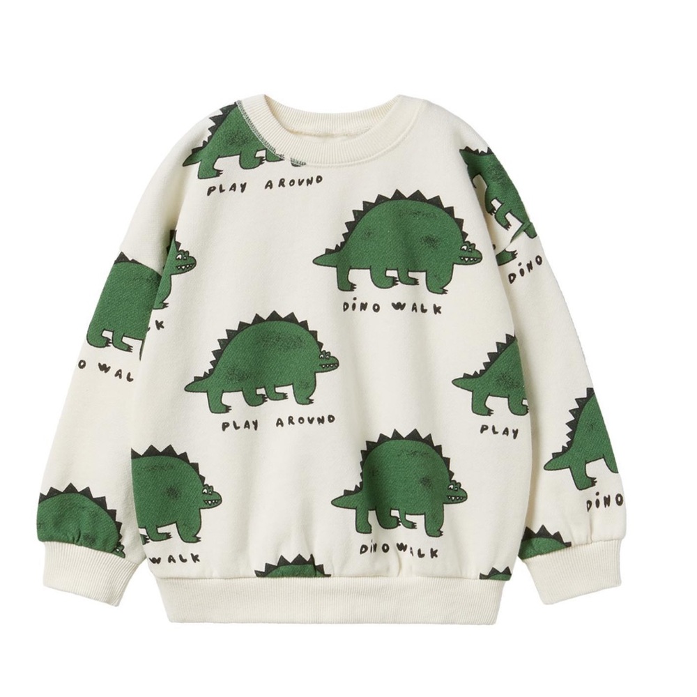 Zara Kids Dinosaur Print Sweater - Cream and Green